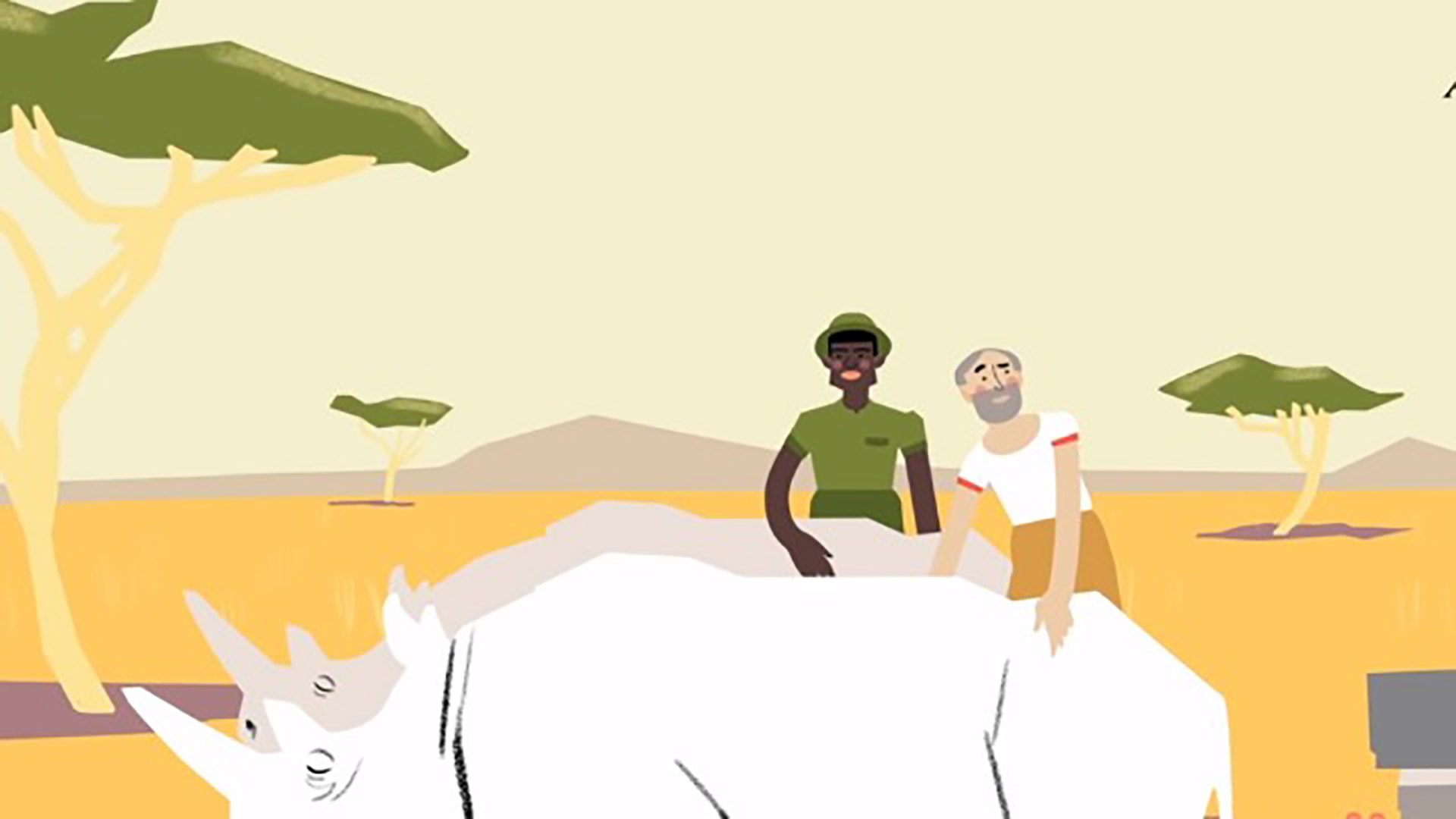 Ted-ed Climate - White Rhinos